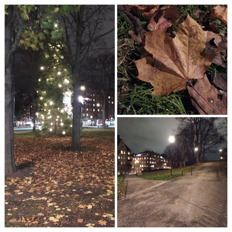20221119_193810-COLLAGE.jpg
