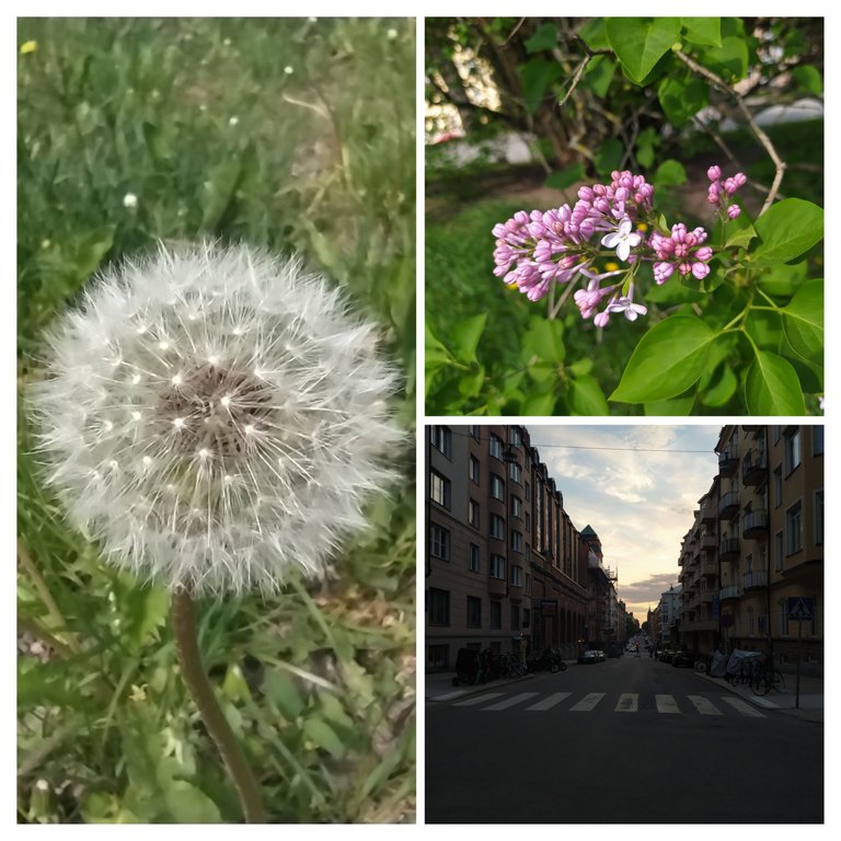 20230523_133459-COLLAGE.jpg