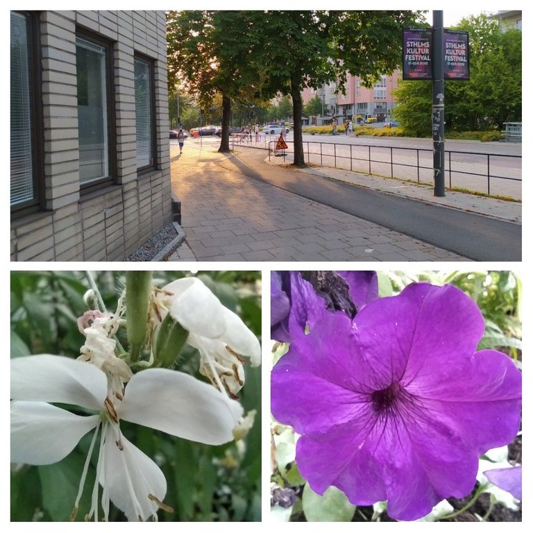 20220820_000533-COLLAGE.jpg