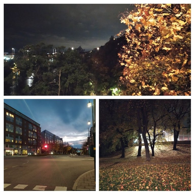 20211010_190816-COLLAGE.jpg