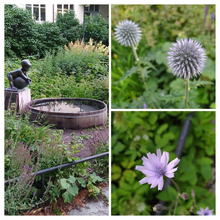 20230709_132332-COLLAGE.jpg