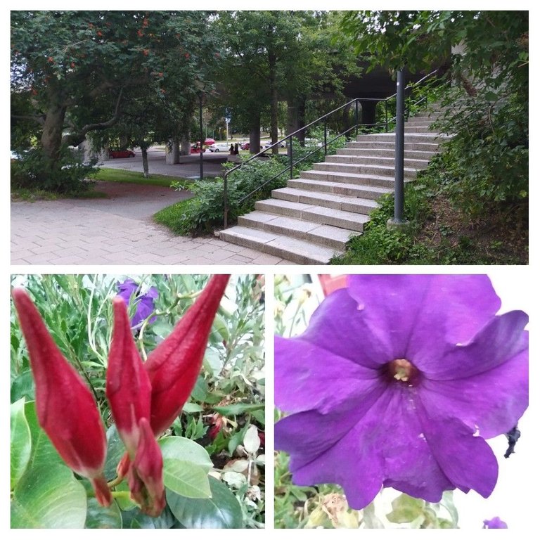 20220904_131940-COLLAGE.jpg