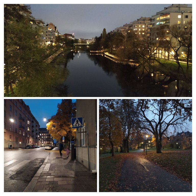 20231109_152533-COLLAGE.jpg
