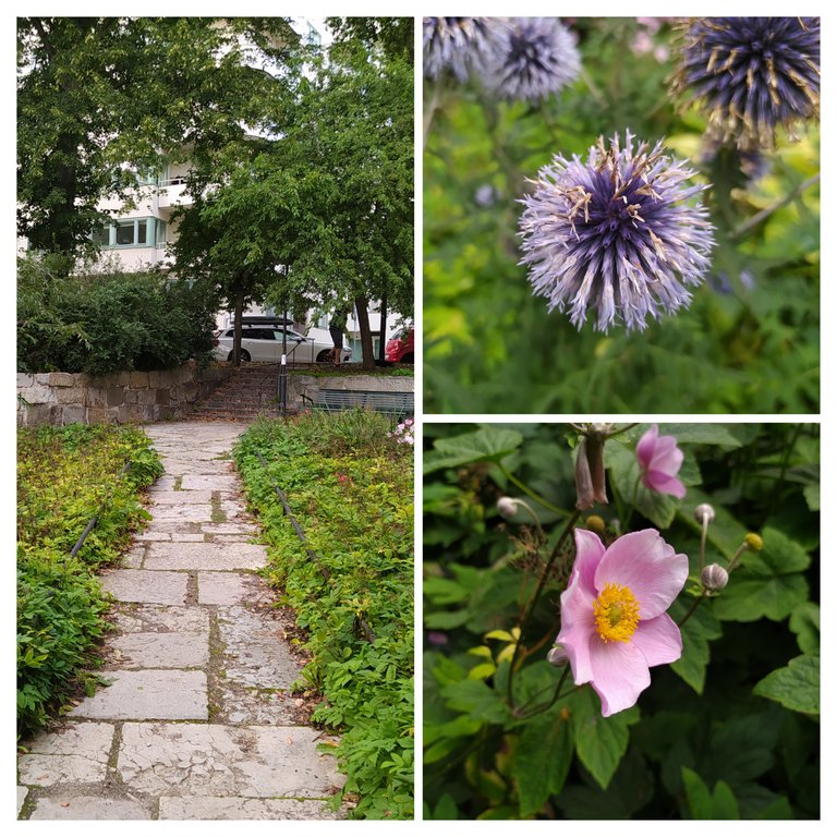 20230822_173538-COLLAGE.jpg