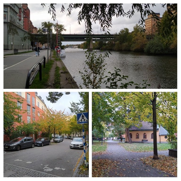 20211003_180552-COLLAGE.jpg