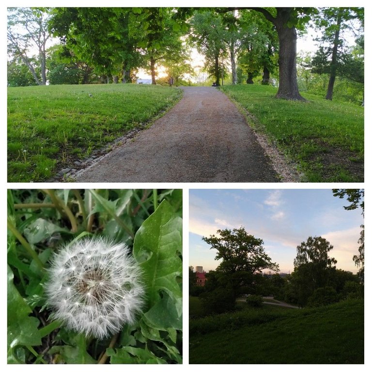 20220604_130241-COLLAGE.jpg