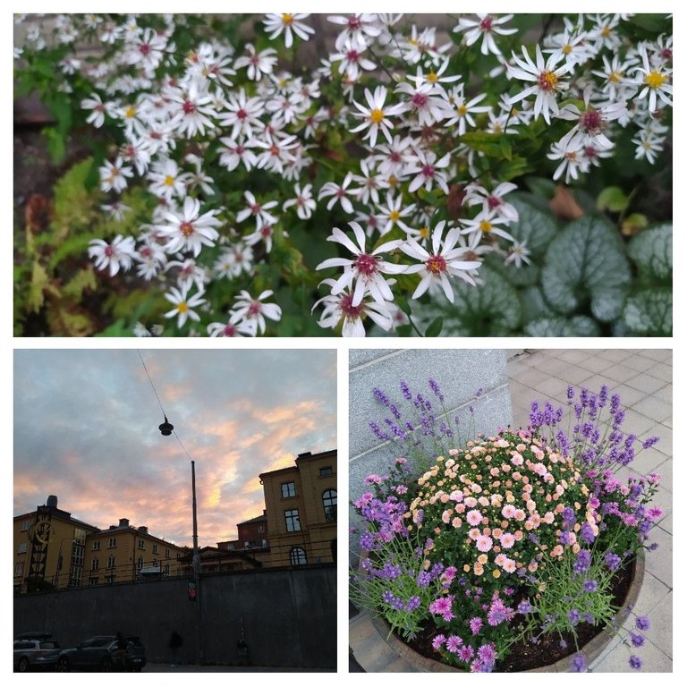 20220915_184240-COLLAGE.jpg