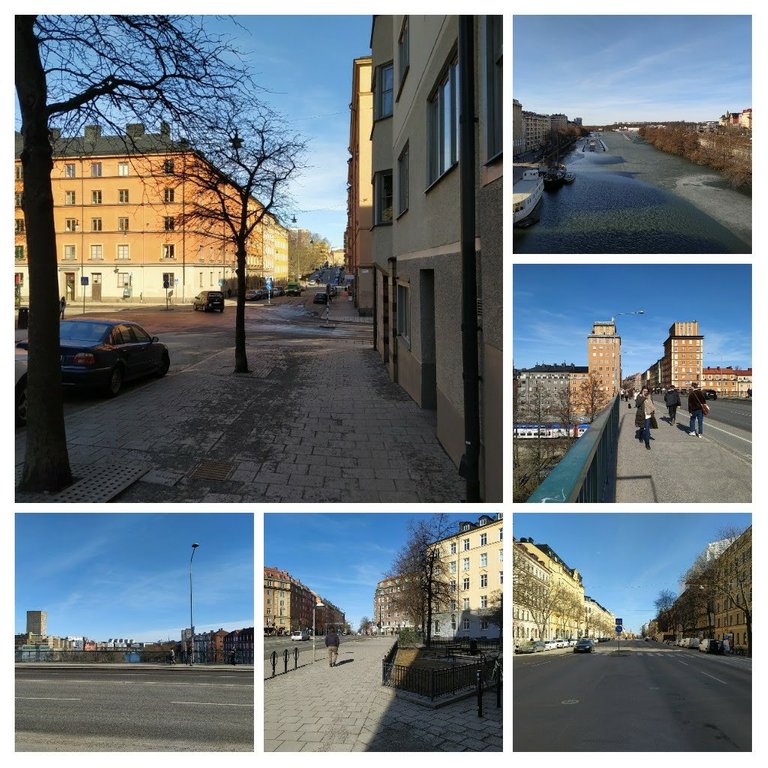 20210324_180727-COLLAGE.jpg