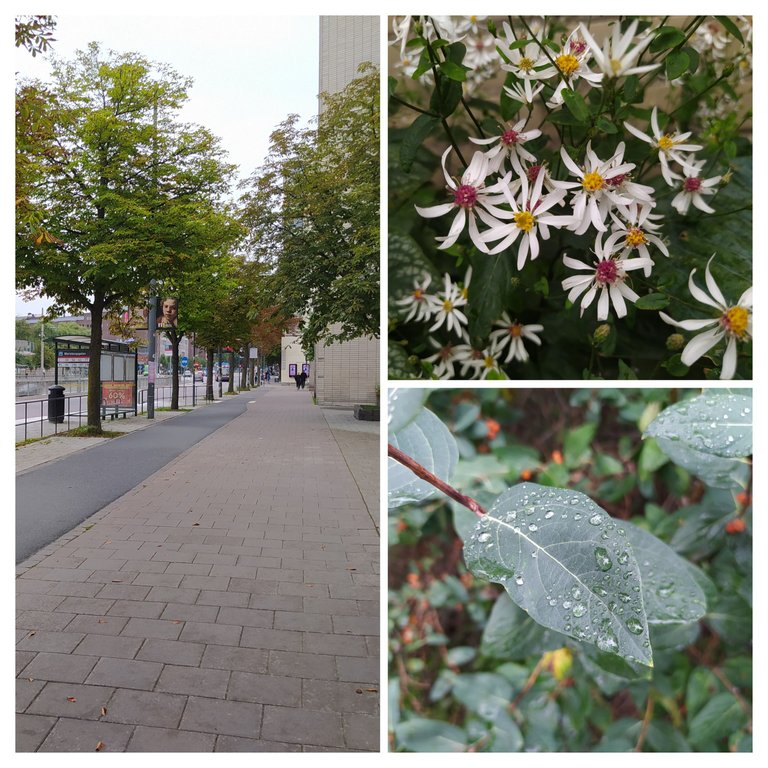 20230821_152020-COLLAGE.jpg