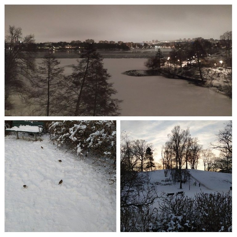 20220112_142402-COLLAGE.jpg