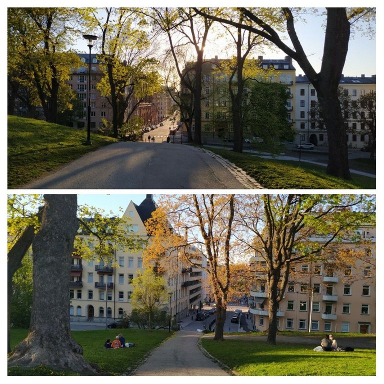 20210513_181617-COLLAGE.jpg