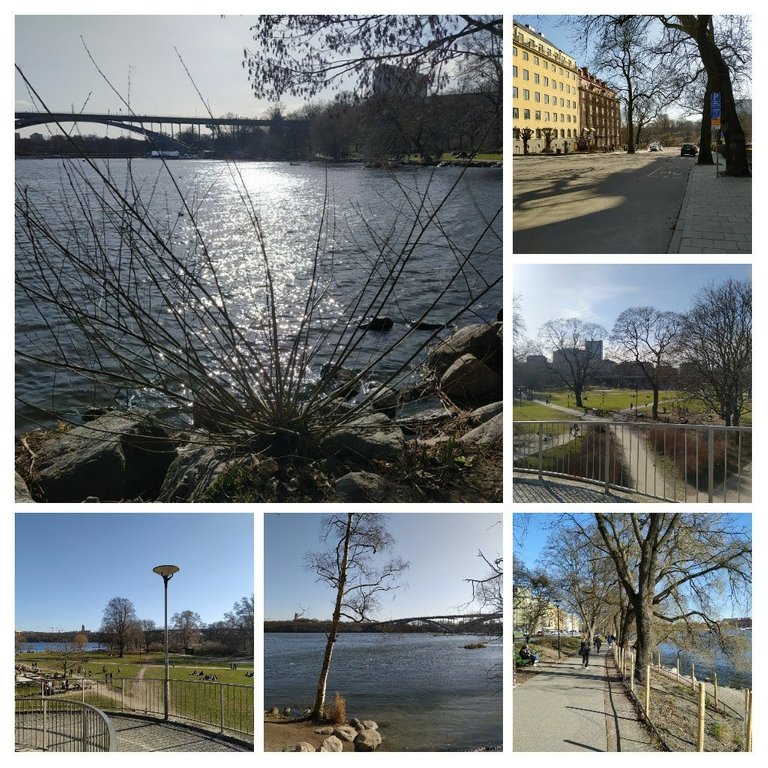 20210405_164634-COLLAGE.jpg