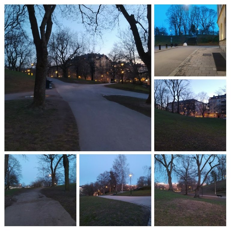 20210411_114122-COLLAGE.jpg