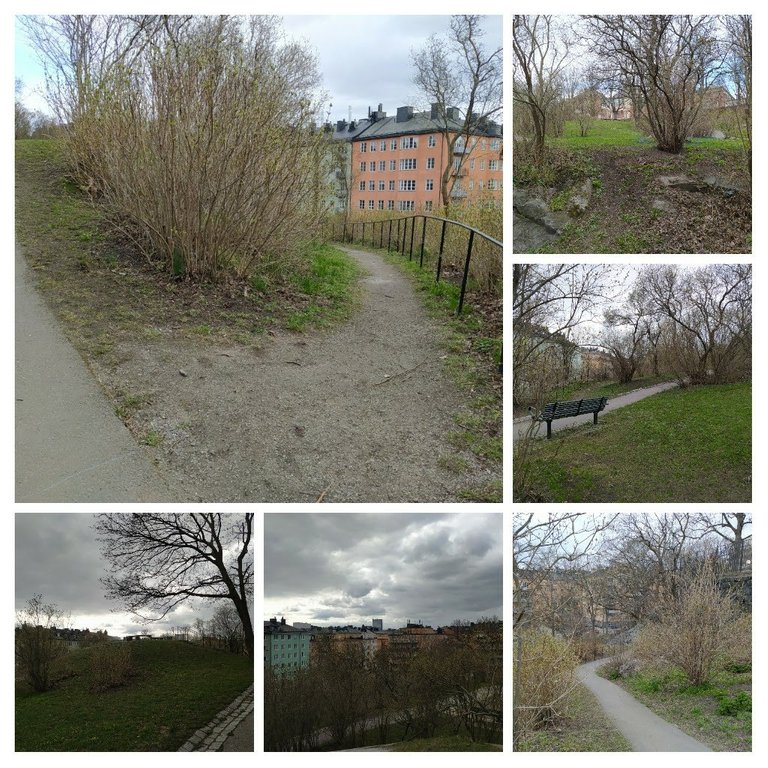 20210415_194429-COLLAGE.jpg