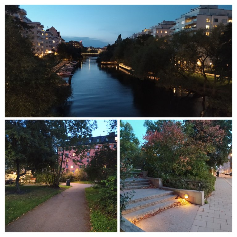 20231001_165052-COLLAGE.jpg