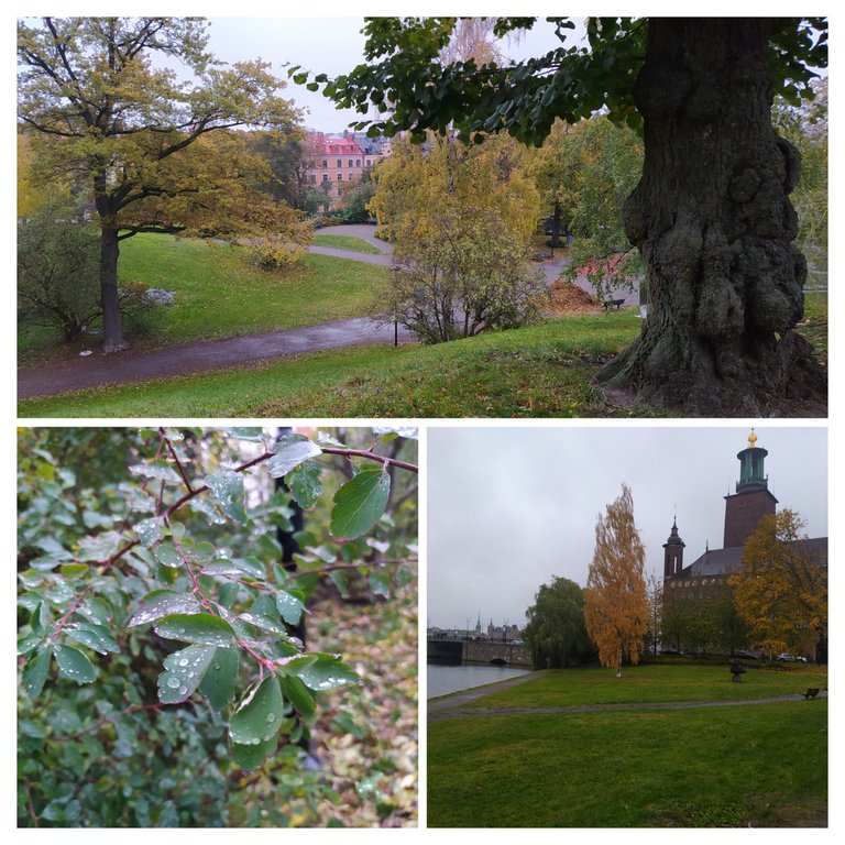 20231027_151529-COLLAGE.jpg