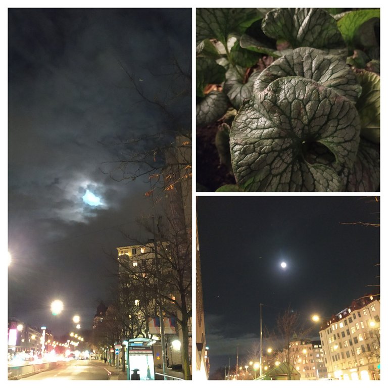 20221110_025950-COLLAGE.jpg