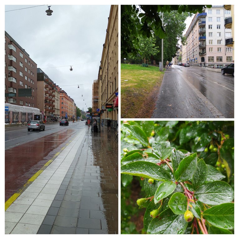 20230703_122736-COLLAGE.jpg