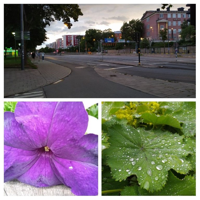 20220711_183310-COLLAGE.jpg