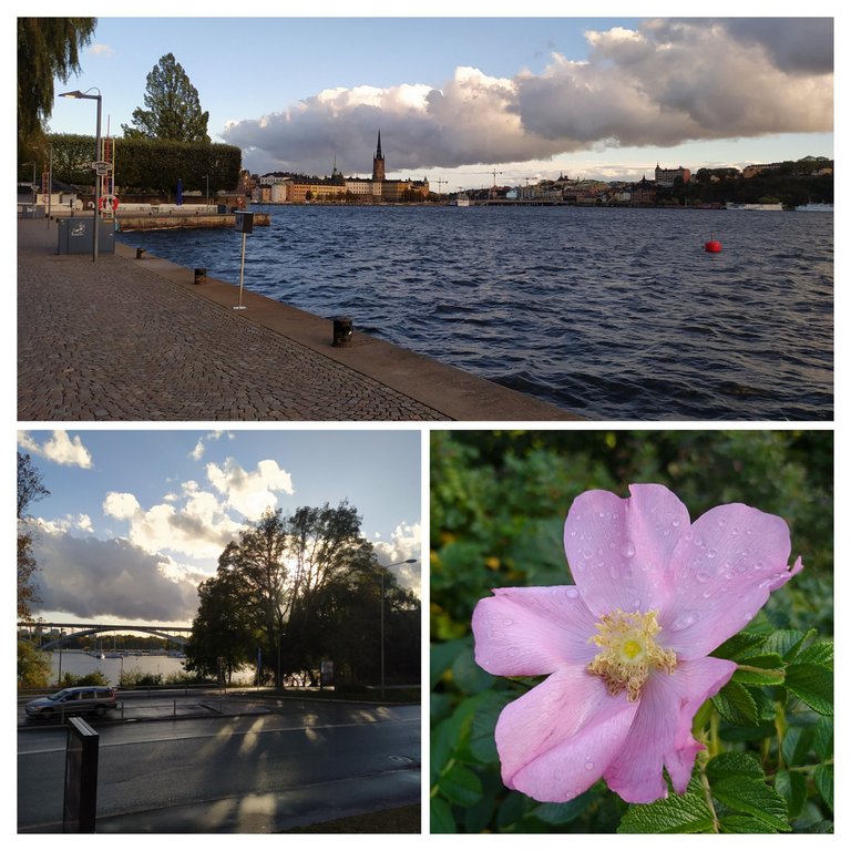 20231012_151730-COLLAGE.jpg