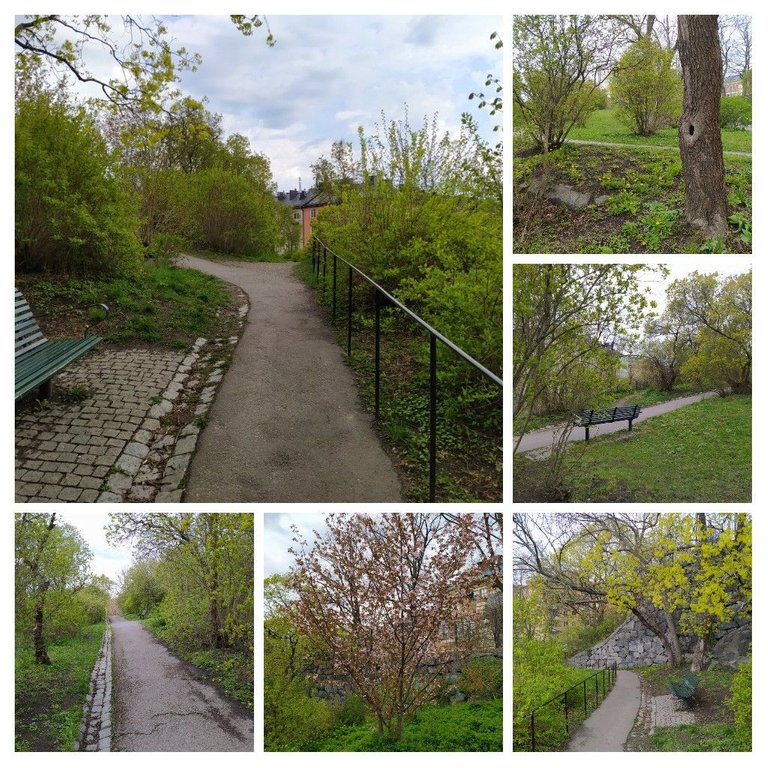 20210511_171006-COLLAGE.jpg