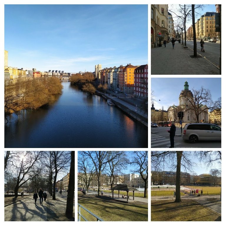 20210324_180843-COLLAGE.jpg