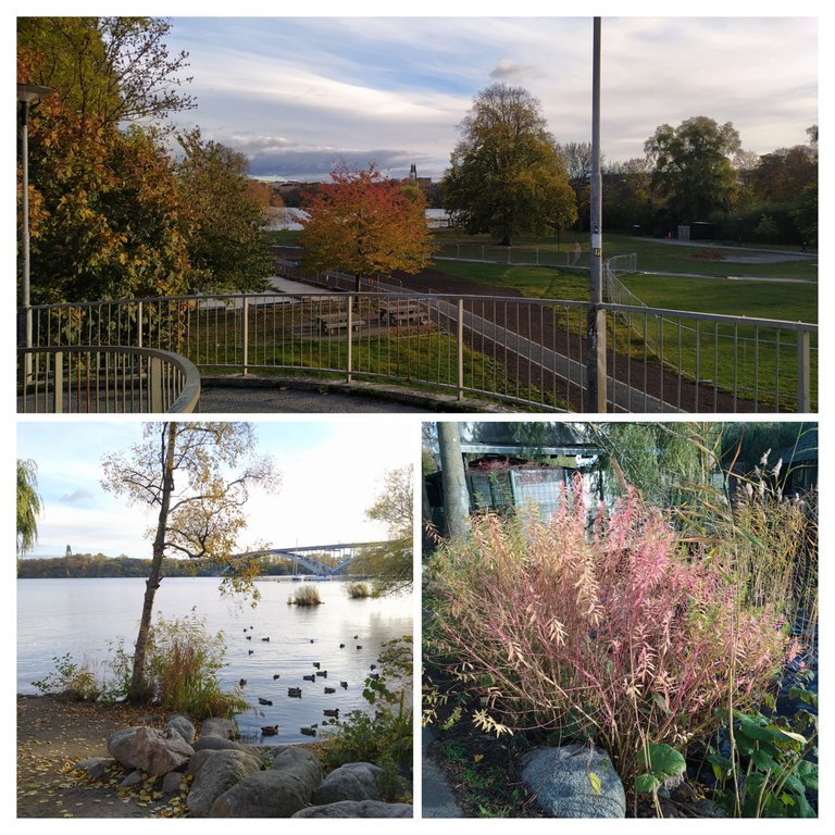 20221020_011129-COLLAGE.jpg