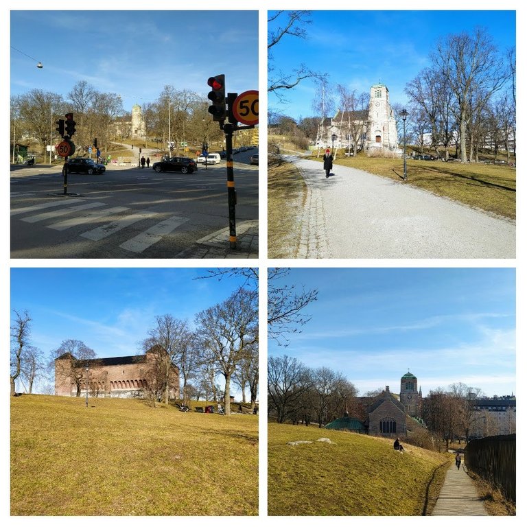 20210324_180818-COLLAGE.jpg