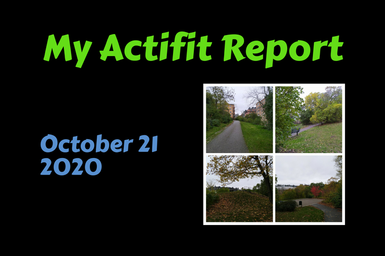 actifit_1_original1.png