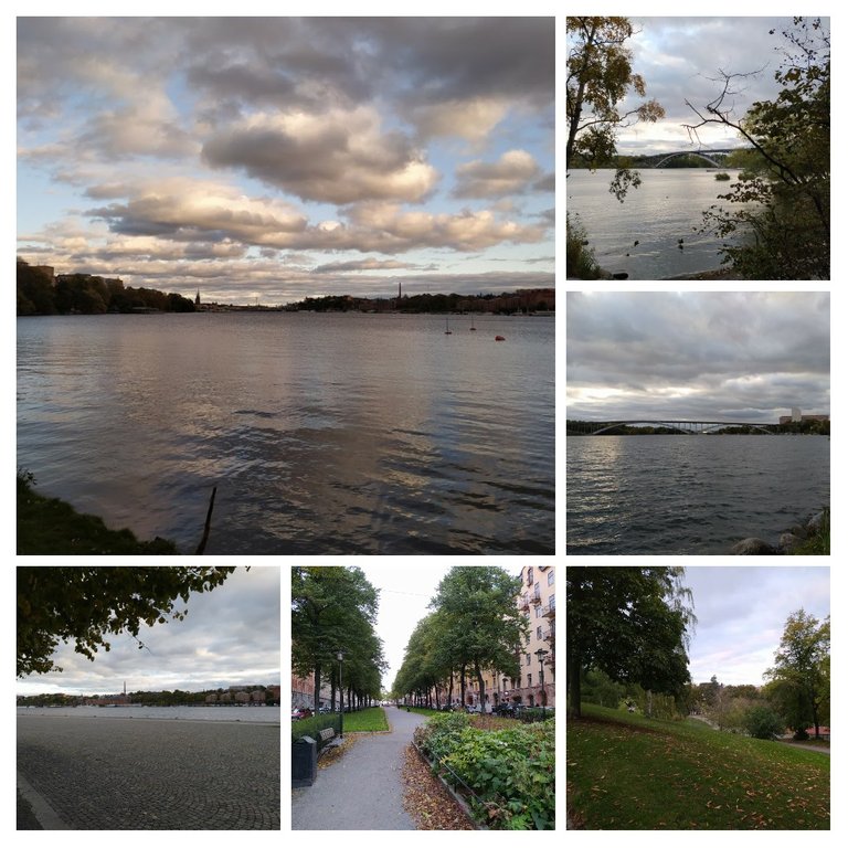 20201018_232233COLLAGE.jpg