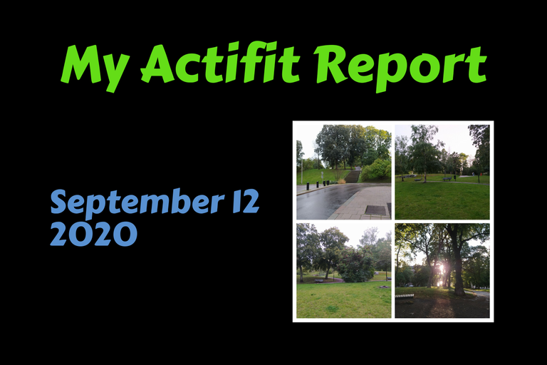 actifit_1_original4.png