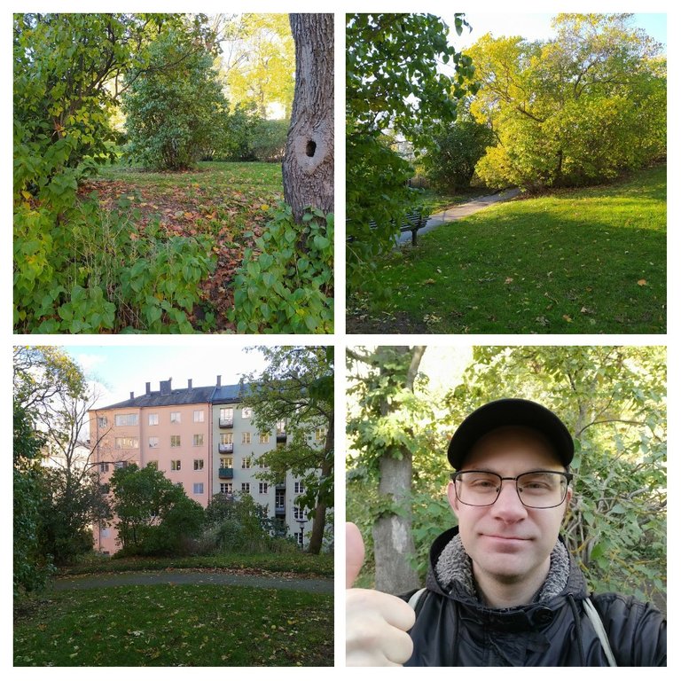 20201017_223924COLLAGE.jpg