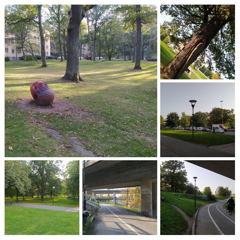 20201003_195955COLLAGE.jpg