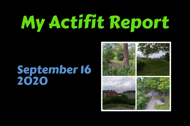 actifit_1_original2.png