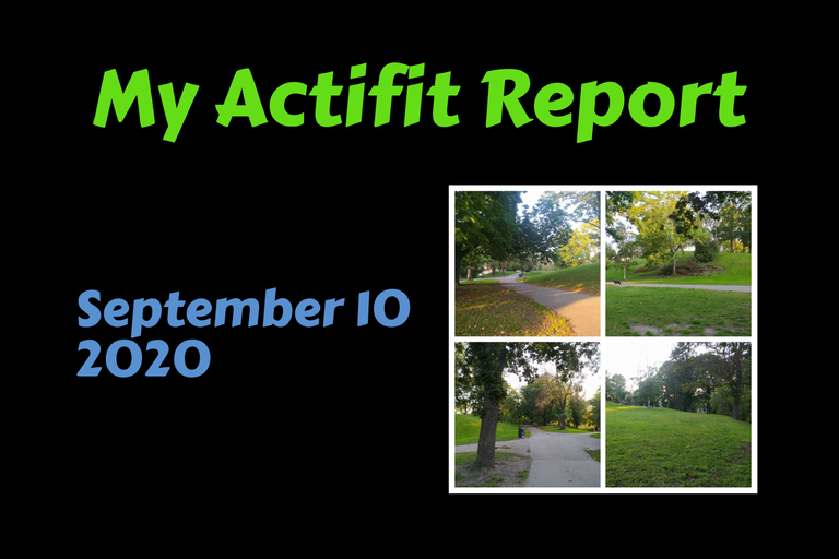 actifit_1_original3.png