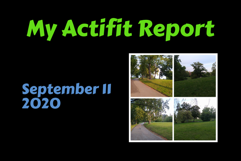 actifit_1_original2.png