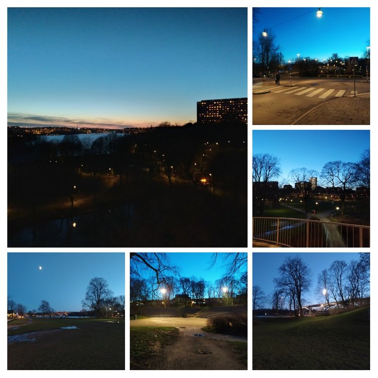 20201224_210517COLLAGE.jpg