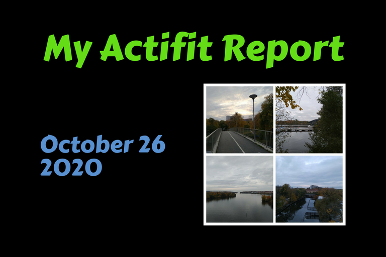 actifit_1_original3.png