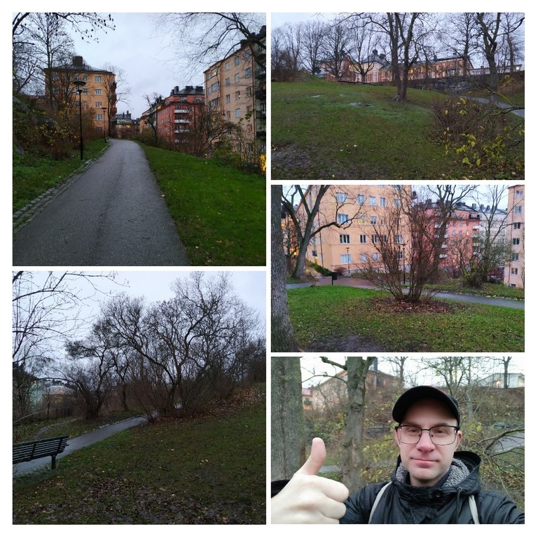 20201120_114514COLLAGE.jpg