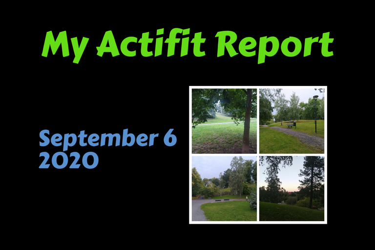 actifit_1_original7.png