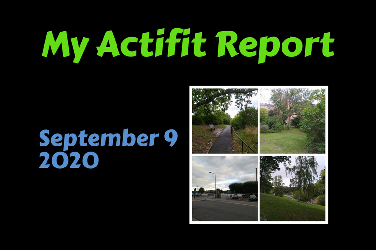 actifit_1_original1.png