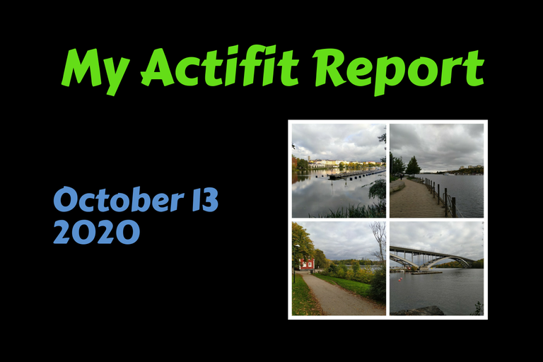 actifit_1_original8.png