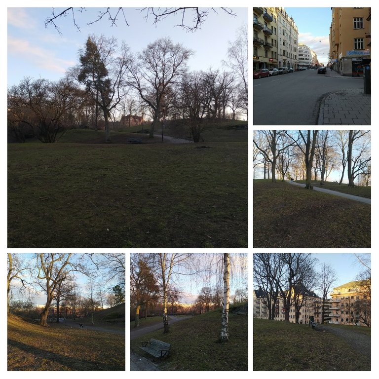 20210301_105501COLLAGE.jpg