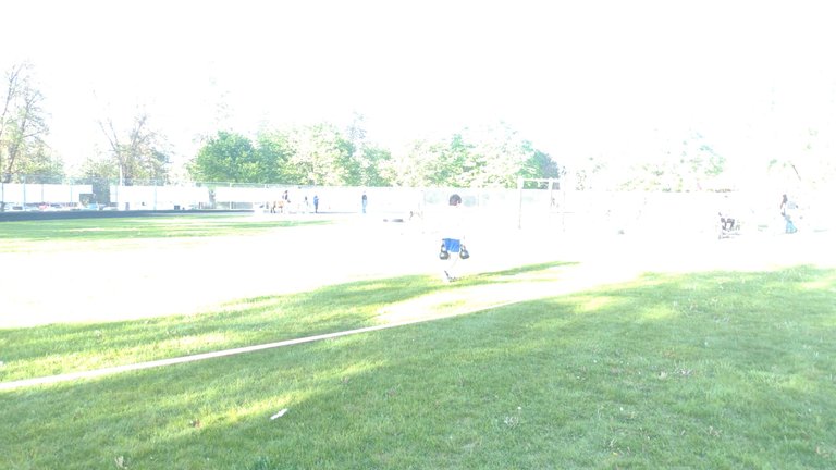 IMG_20250522_182815.jpg