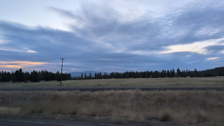 IMG_20250719_053416.jpg