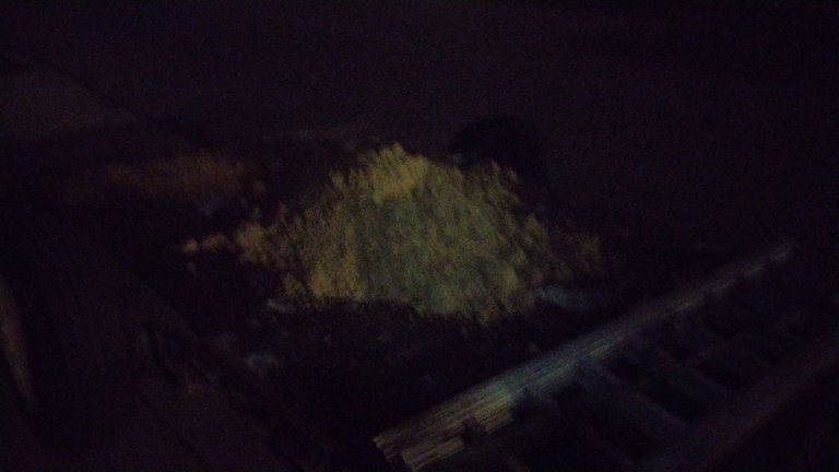IMG_20240110_045659.jpg