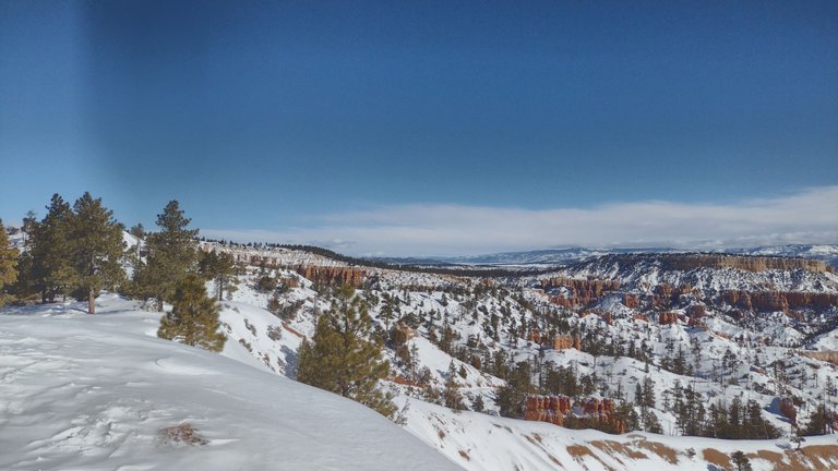 IMG_20230226_102506_HDR.jpg