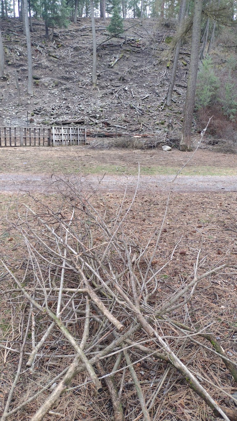 IMG_20250322_161048.jpg
