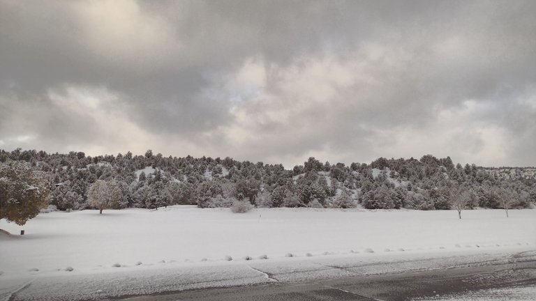 IMG_20230226_075037_HDR.jpg