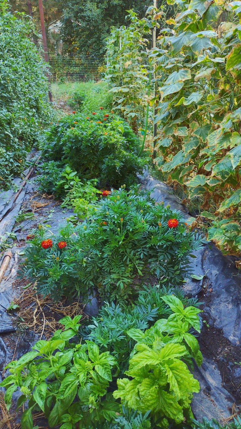 IMG_20221001_103419_HDR.jpg